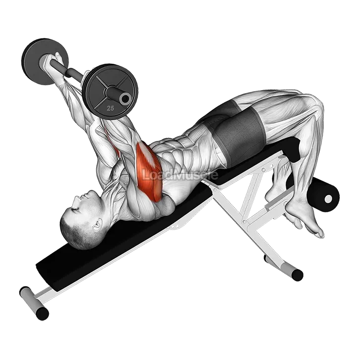 EZ Barbell Decline Triceps Extension demonstration