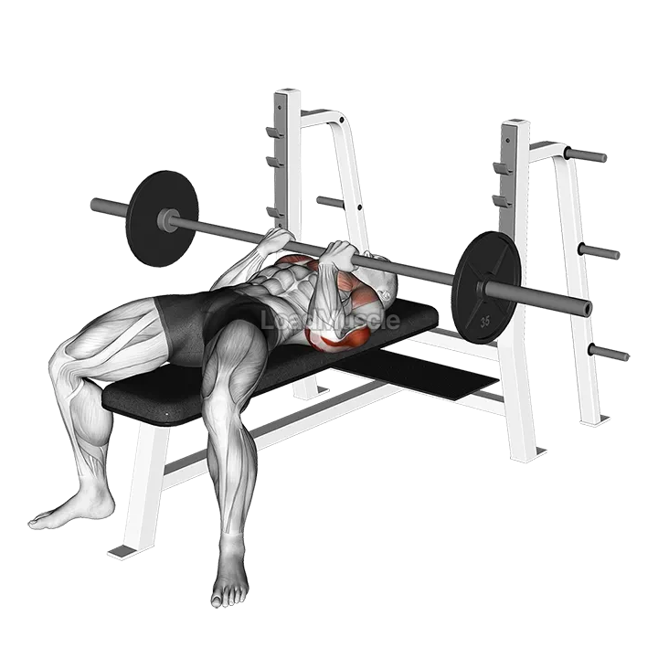 Barbell Reverse Close-grip Bench Press demonstration