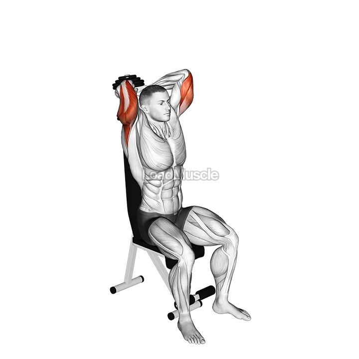 Dumbbell Seated Triceps Extension demonstration