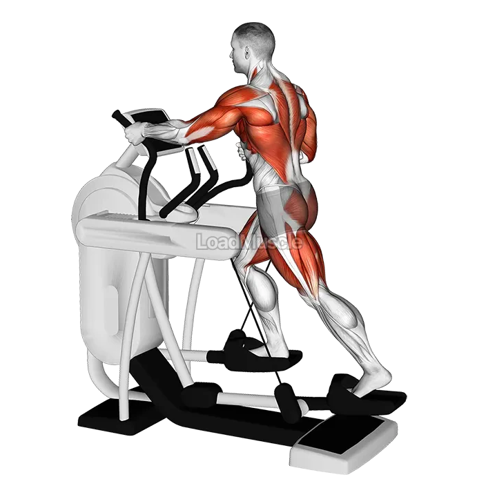 Elliptical Machine Walk demonstration