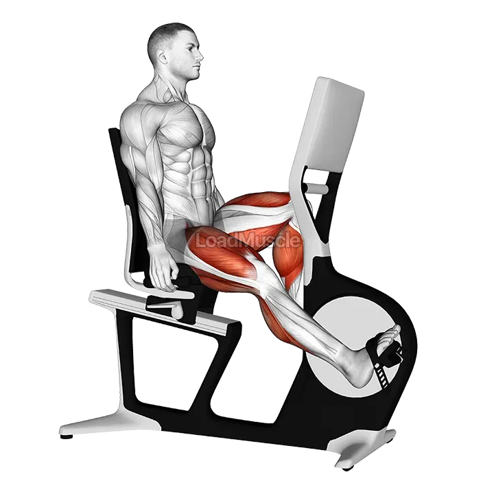 Bicycle Recline Walk demonstration