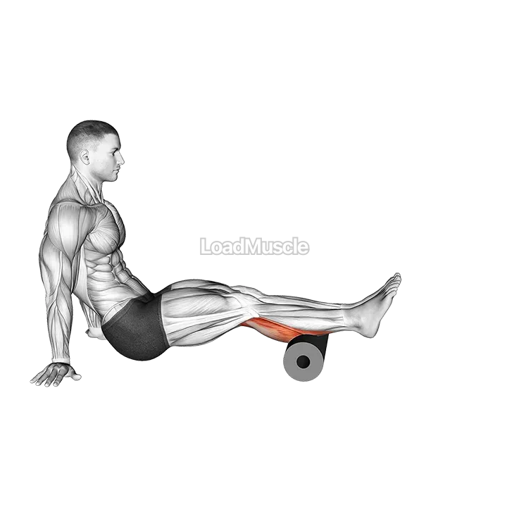 Roll Calves demonstration