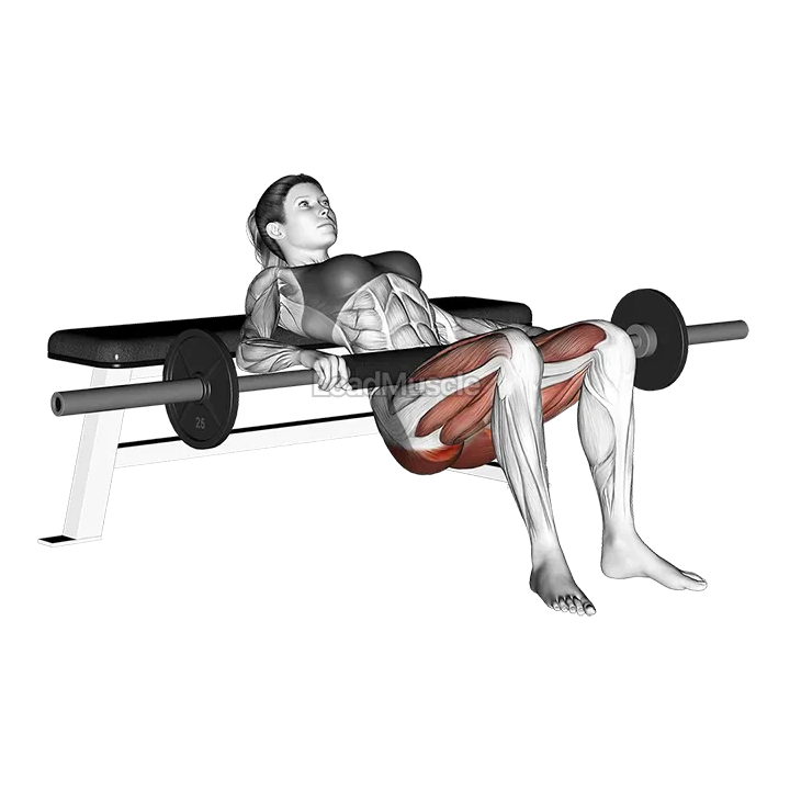 Barbell Hip Thrust demonstration