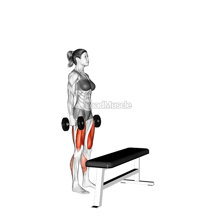 Dumbbell Step-Up demonstration