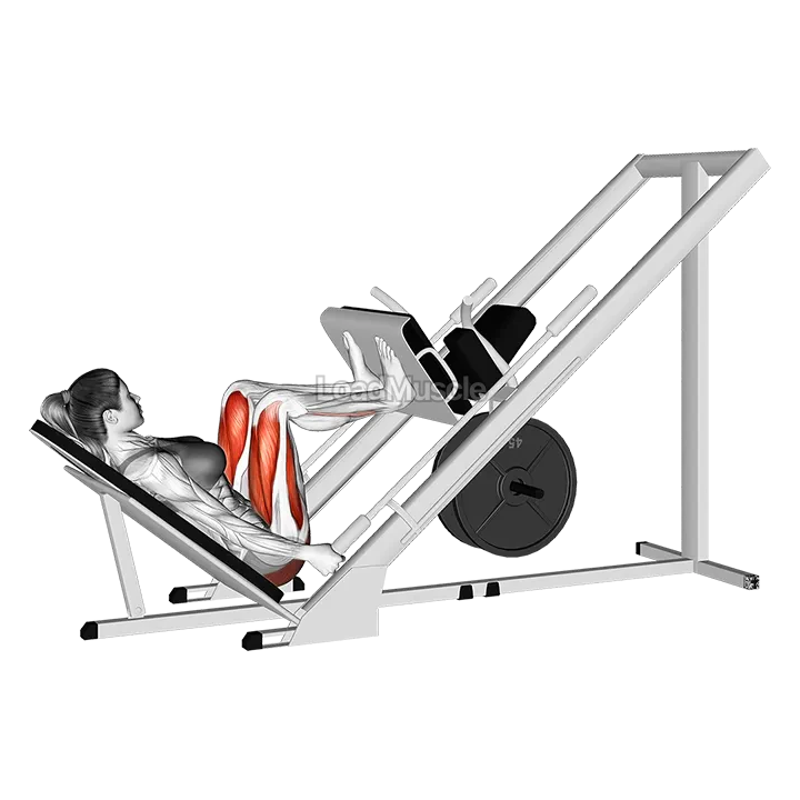 Sled 45 degrees Leg Press demonstration