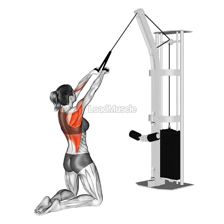 Cable High Row (kneeling rope attachment) demonstration