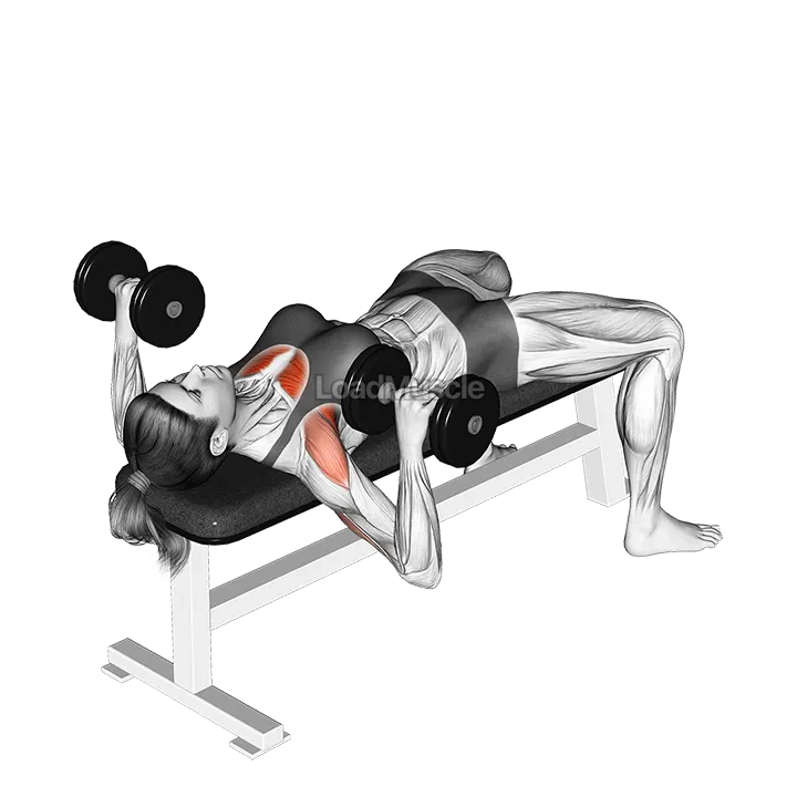 Dumbbell Bench Press demonstration
