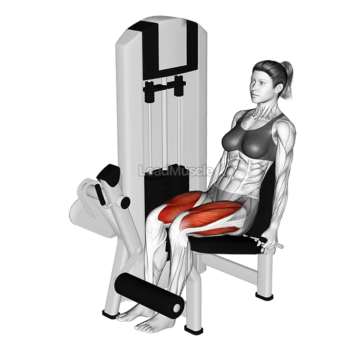 Lever Leg Extension demonstration