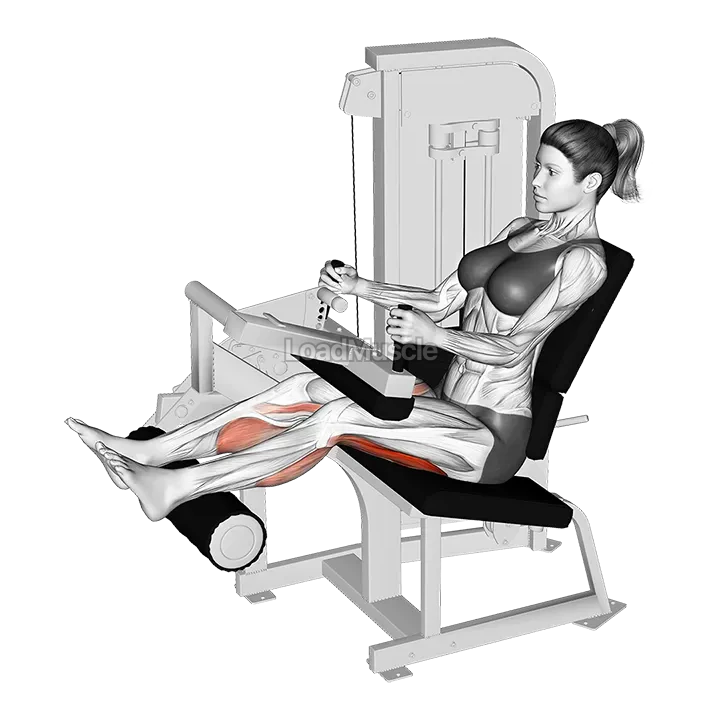 Lever Seated Leg Curl demonstration