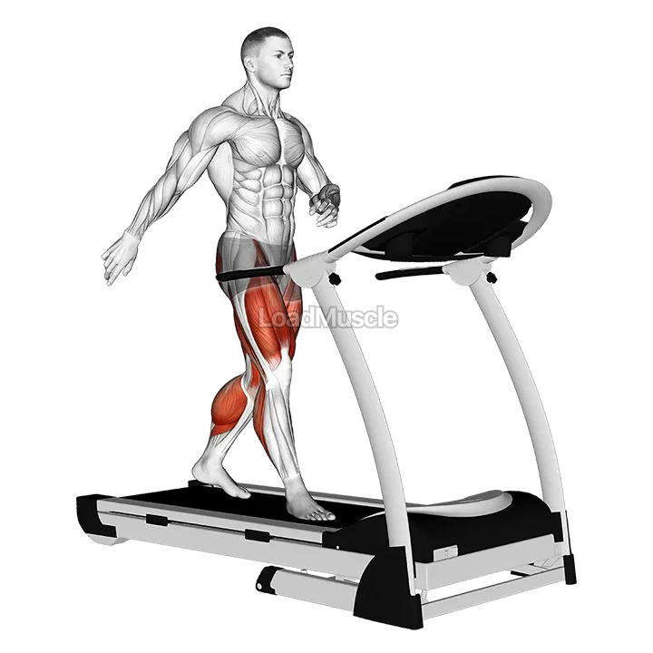 Walking on Treadmill demonstration