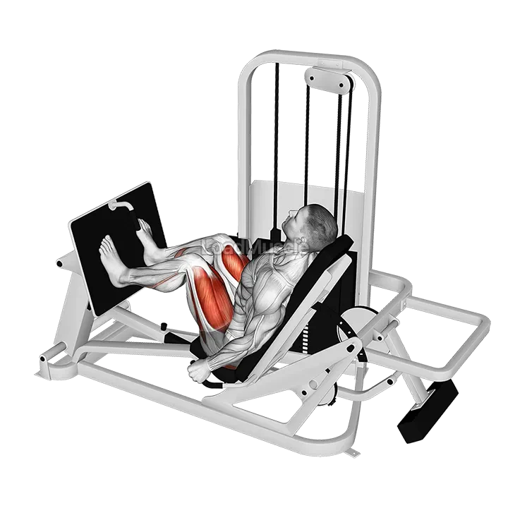 Lever Seated Leg Press demonstration