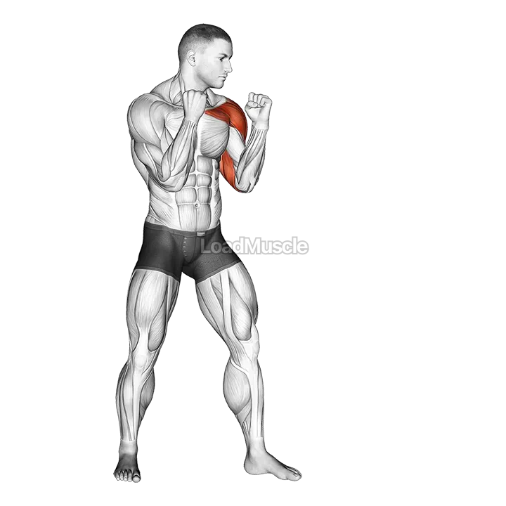 Jab. Boxing demonstration