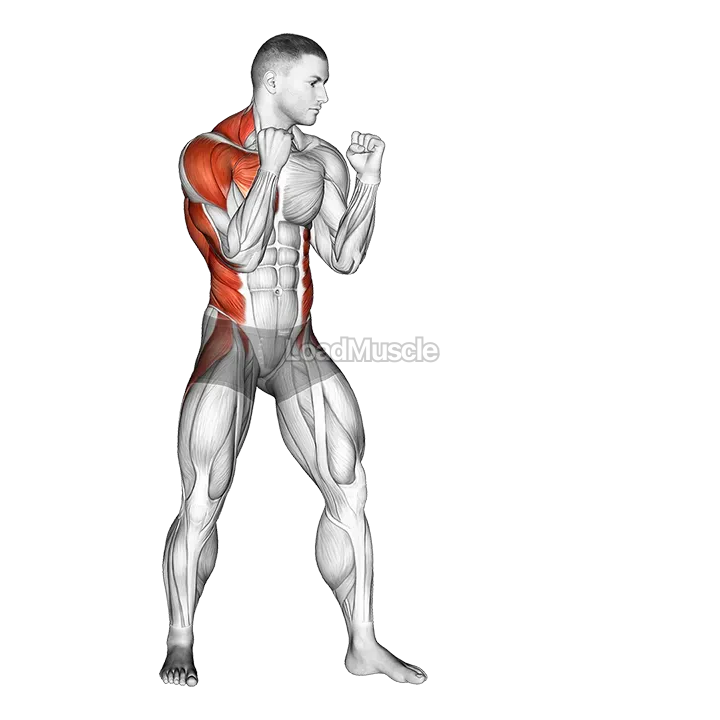 Right Cross. Boxing demonstration