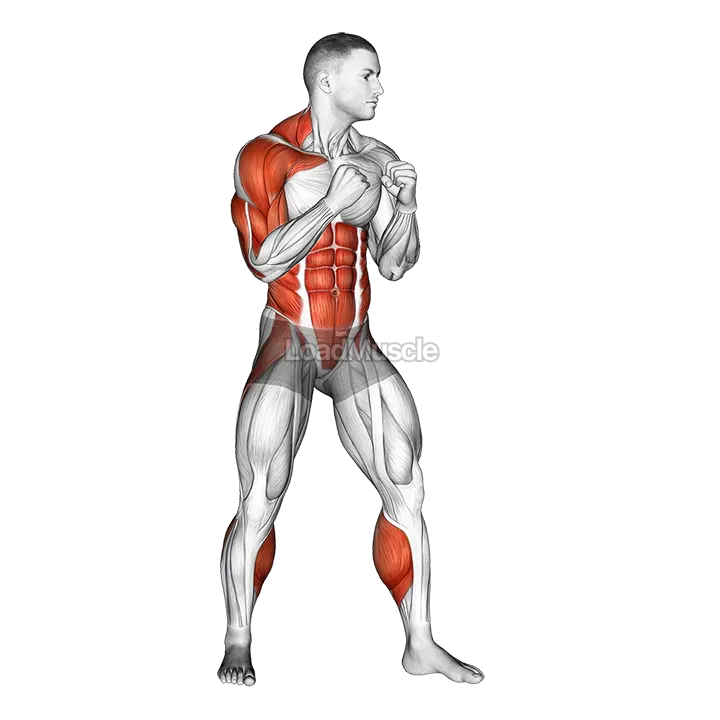 Right Uppercut. Boxing demonstration