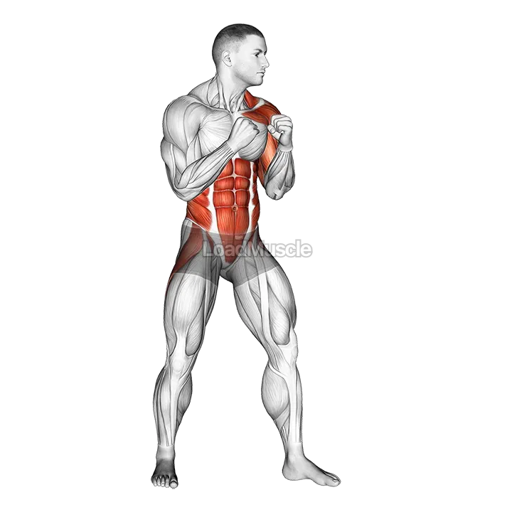 Left Uppercut. Boxing demonstration