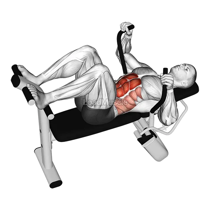 Lever Lying Crunch demonstration