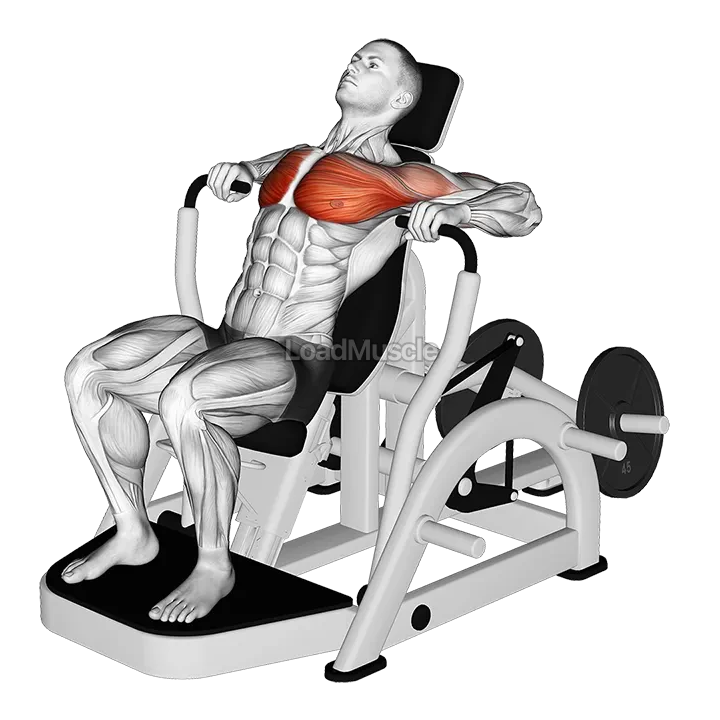 Lever Decline Chest Press demonstration