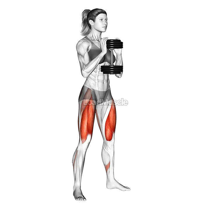 Dumbbell Goblet Squat demonstration