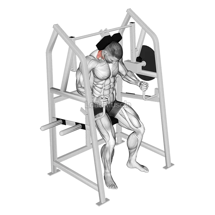 Lever Neck Extension (plate loaded) demonstration