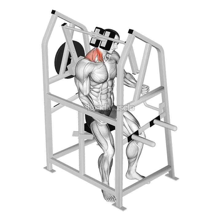 Lever Neck Right Side Flexion (plate loaded) demonstration