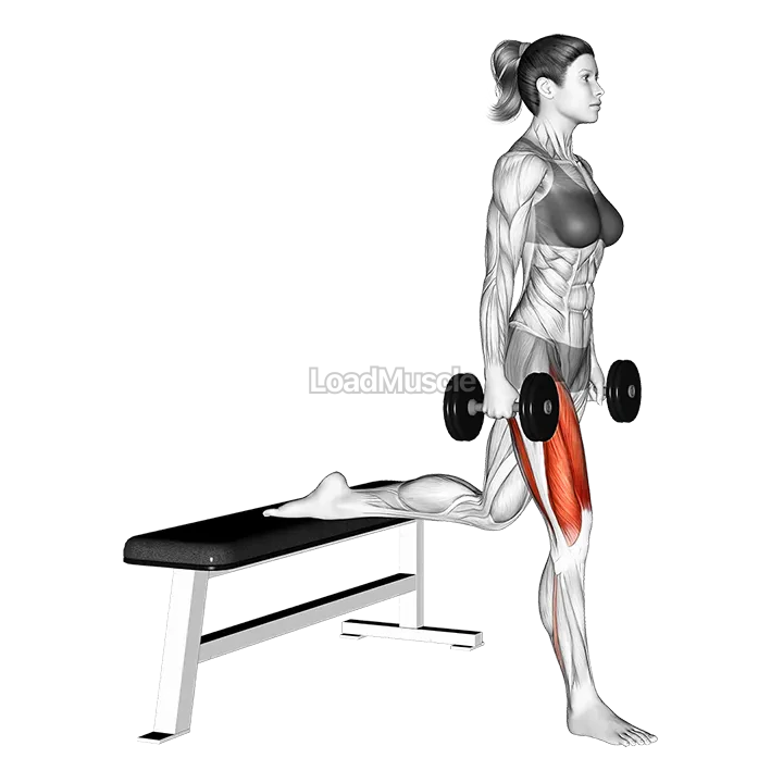 Dumbbell Bulgarian Split Squat demonstration