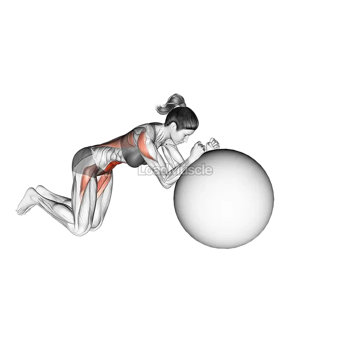 Stability Ball Rollout on Knees demonstration