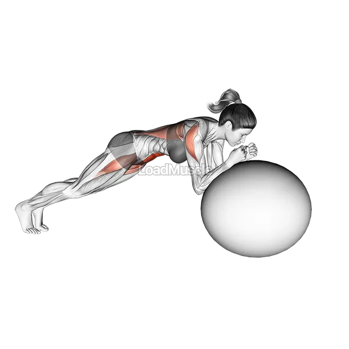 Stability Ball Rollout demonstration