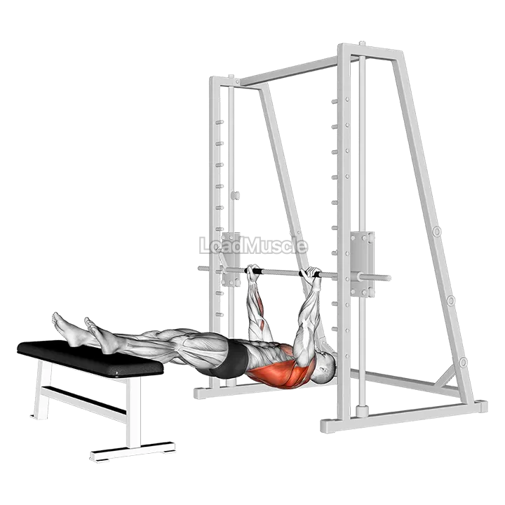 Inverted Row on Bench demonstration