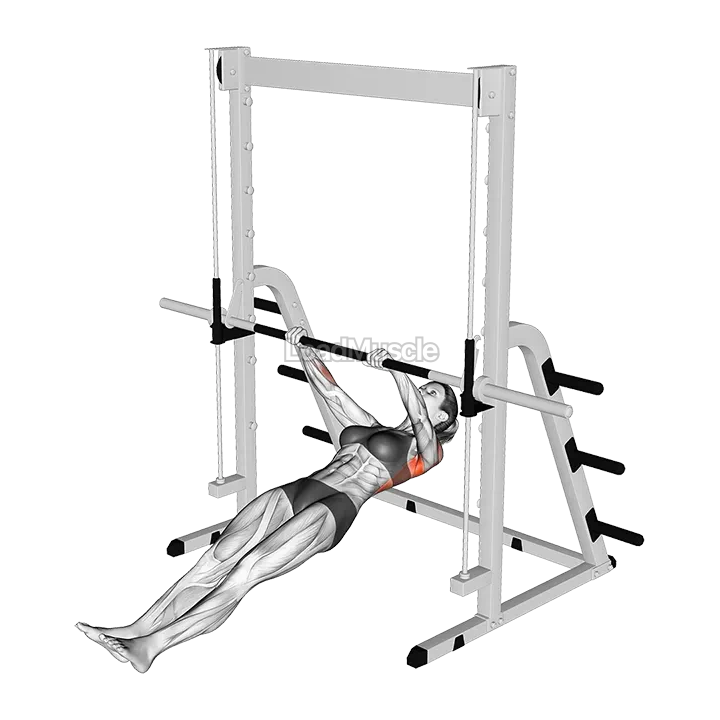 Inverted Row demonstration