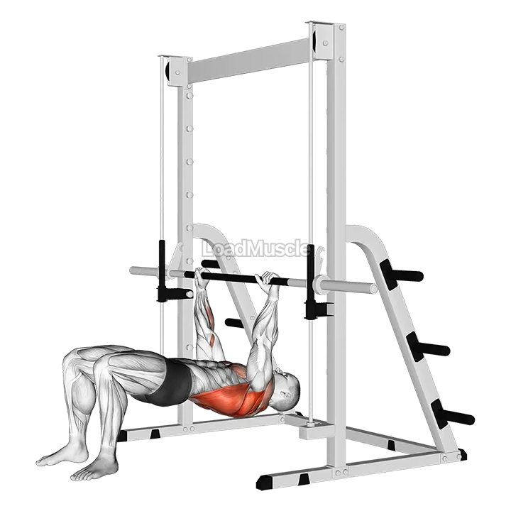 Inverted Row Bent Knees demonstration