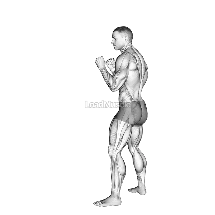 Rear Leg Hook Kick. Kickboxing demonstration