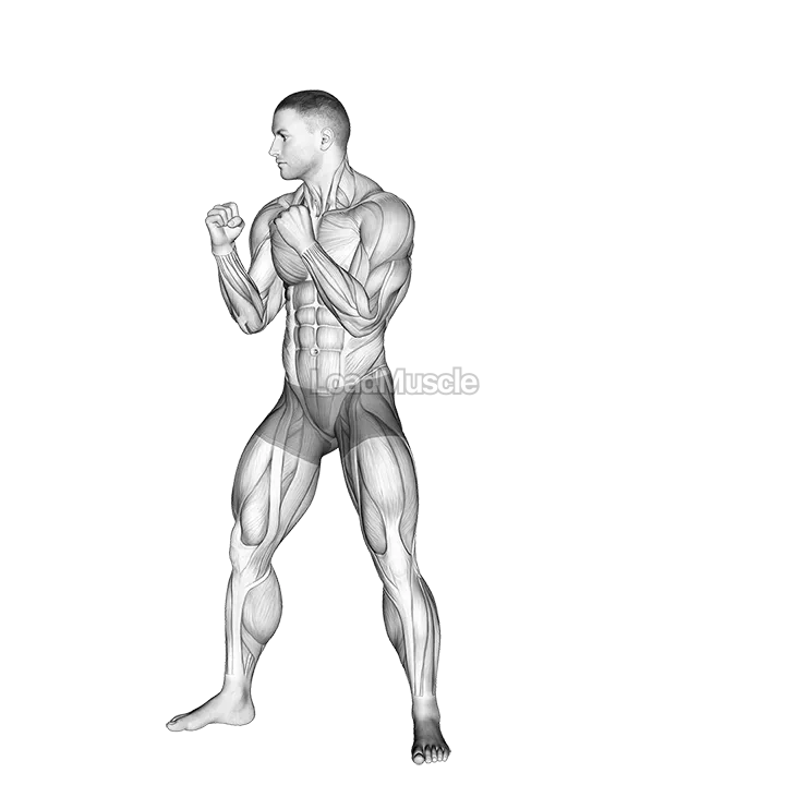 Front Leg Hook Kick. Kickboxing demonstration