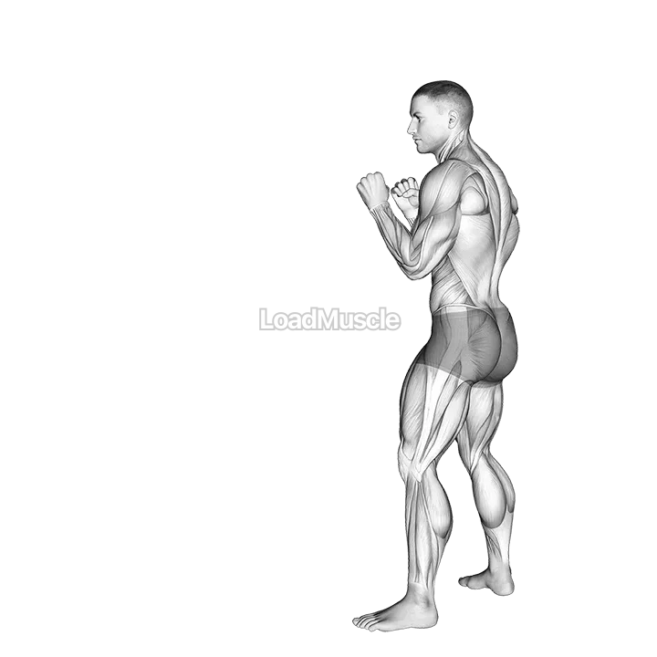 Front Groin Kick. Kickboxing demonstration