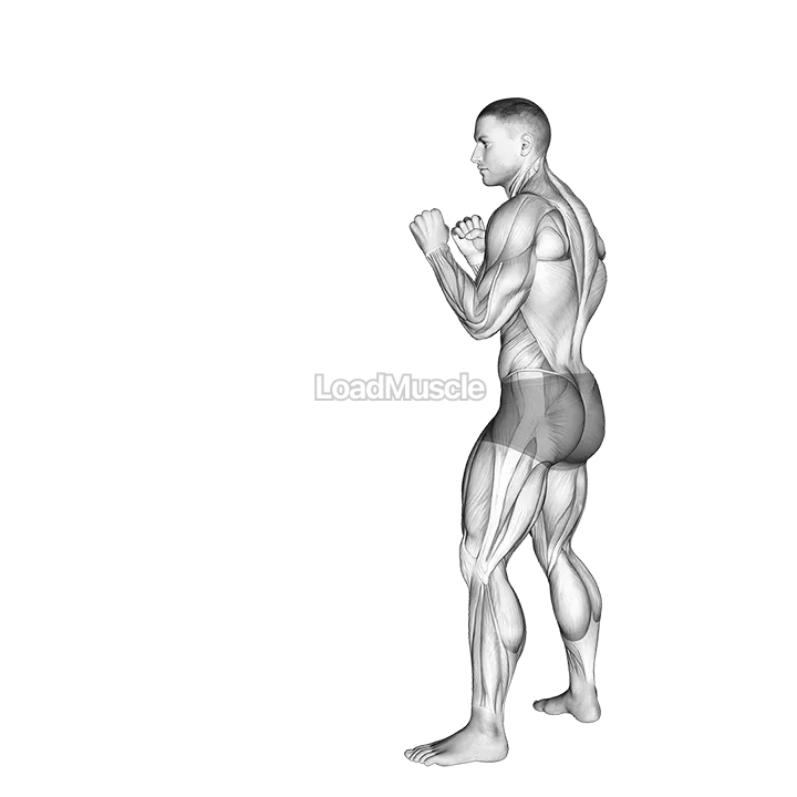 Roundhouse Kick. Kickboxing demonstration