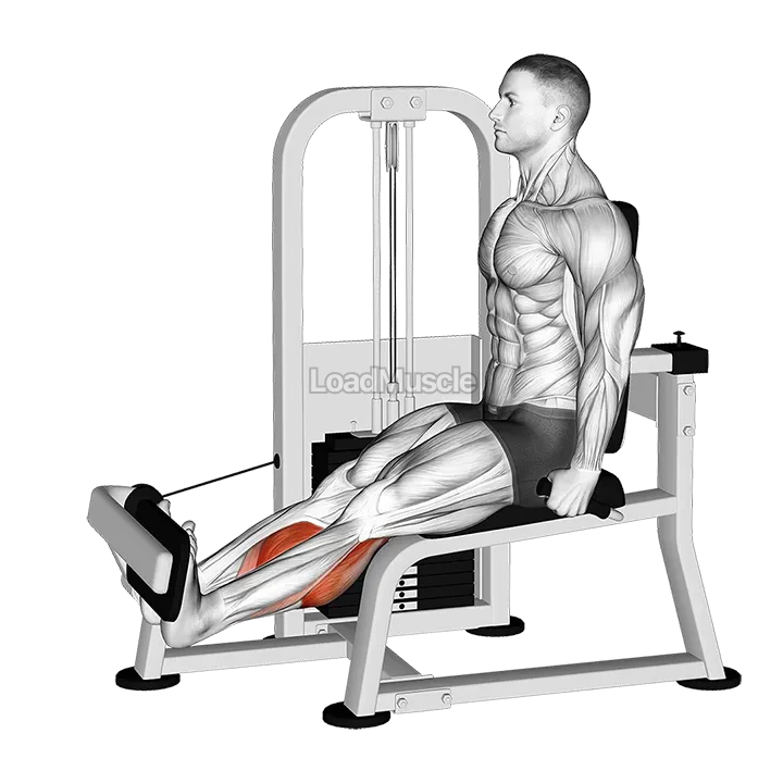 Lever Rotary Calf demonstration