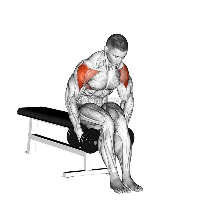 Dumbbell Seated Bent Arm Lateral raise demonstration