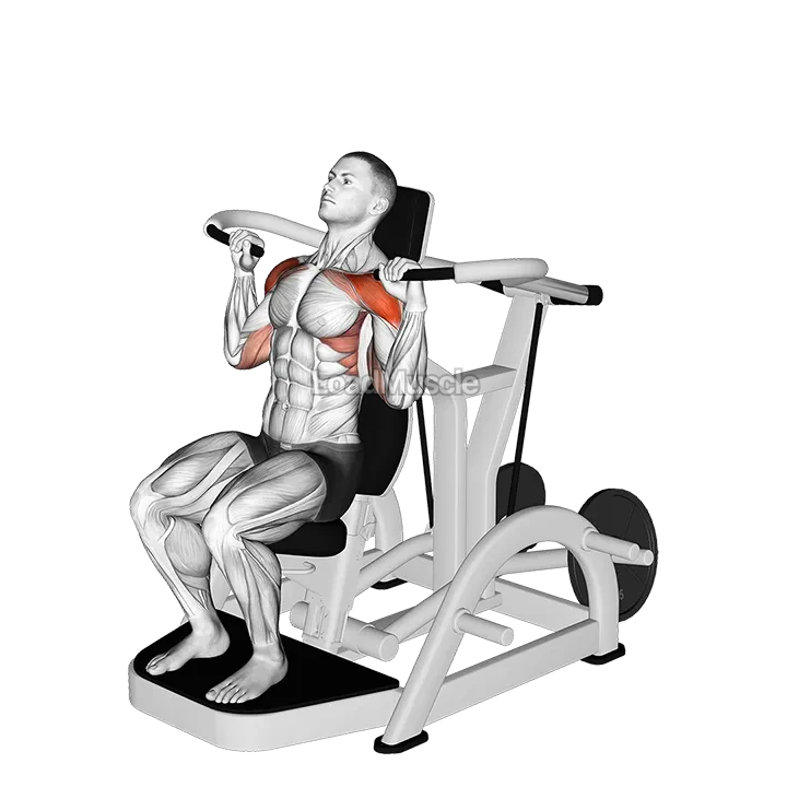 Lever Shoulder Press (plate loaded) demonstration