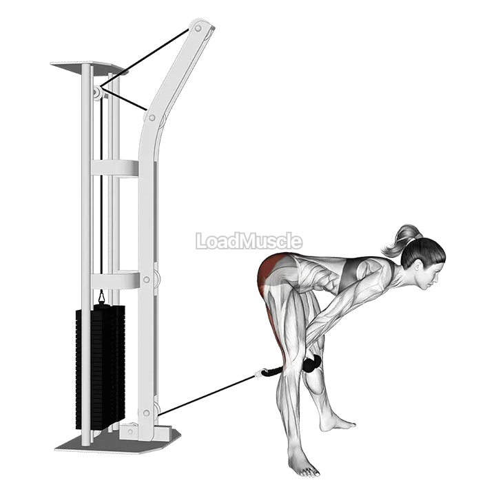 Cable Straight Legs Pull Through (with rope) demonstration