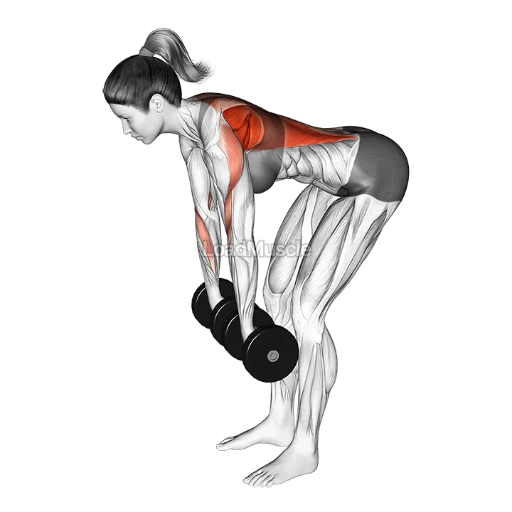 Dumbbell Pronated Grip Row demonstration