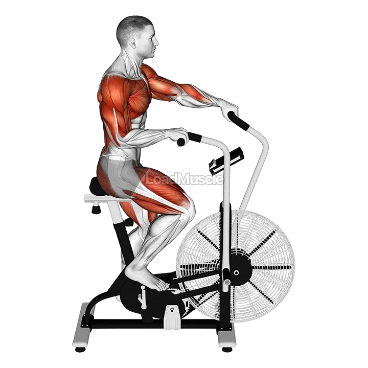 Cycle Cross Trainer demonstration