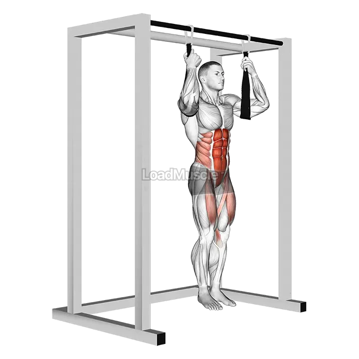 Arm slingers Hanging Straight Legs demonstration