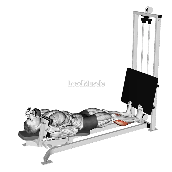 Sled Lying Calf Press demonstration