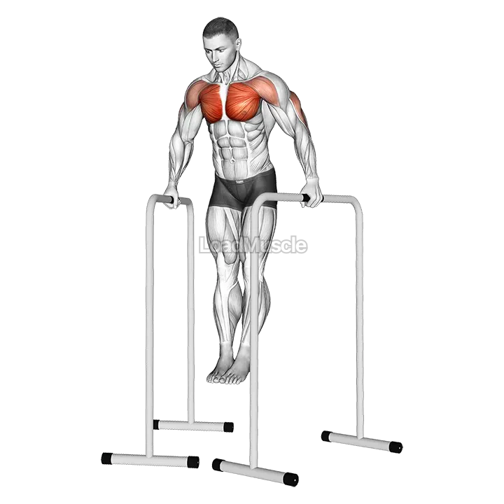 Wide Grip Chest Dip on High Parallel Bars demonstration