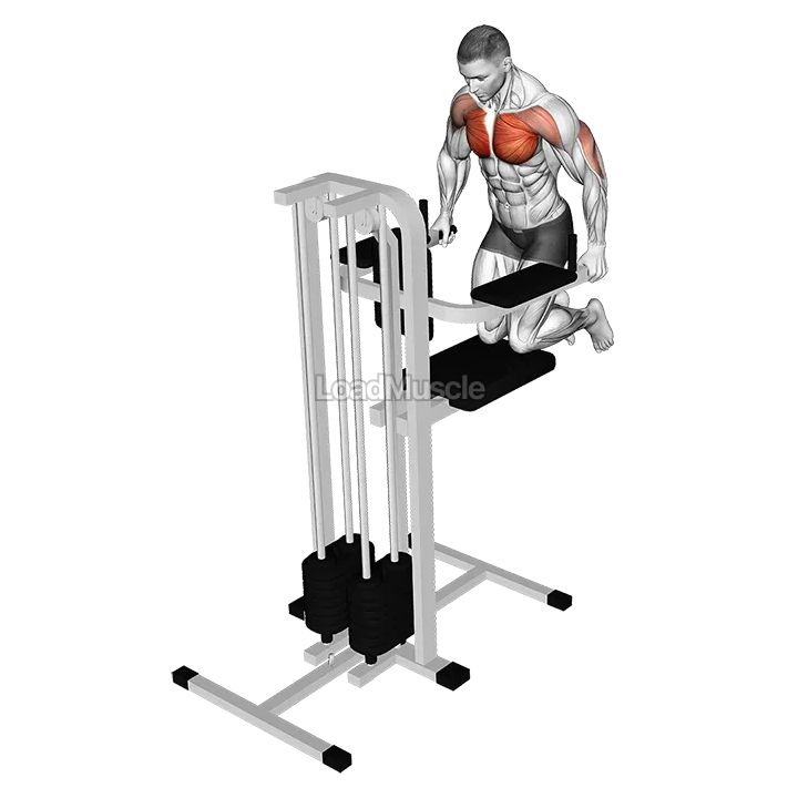 Assisted Wide Grip Chest Dip (kneeling) demonstration