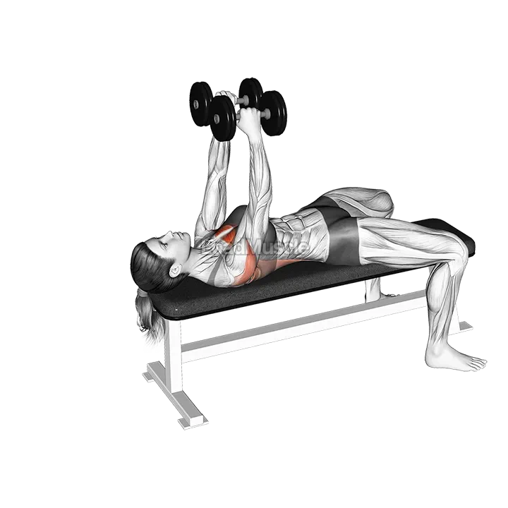 Dumbbells Straight Arm Pullover demonstration