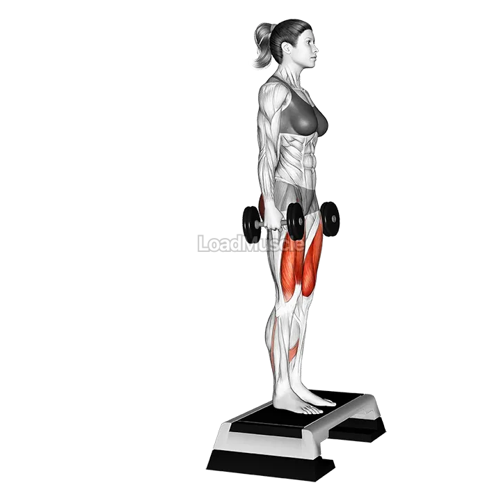 Dumbbell Rear Lunge from Step demonstration