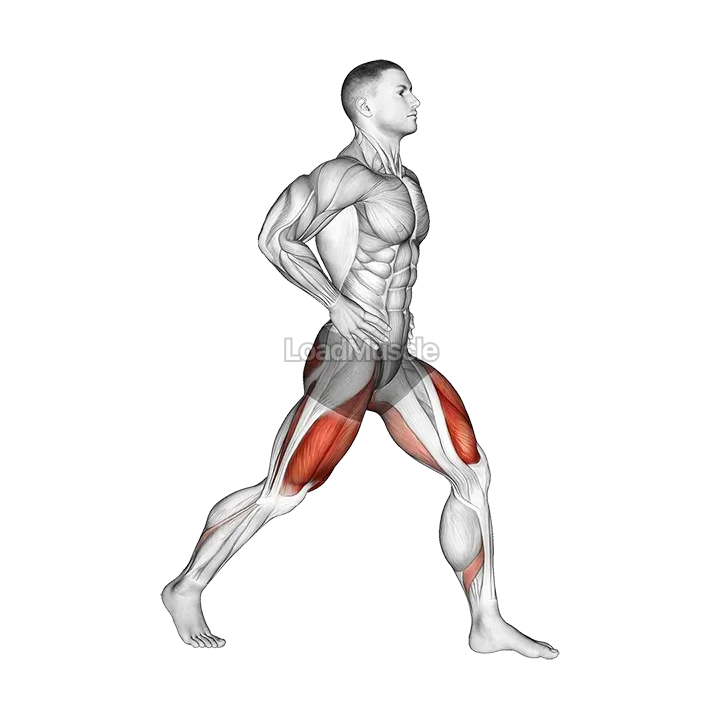 Split Squats demonstration