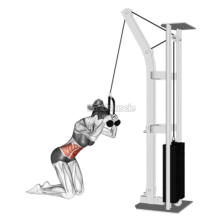 Cable Kneeling Crunch demonstration