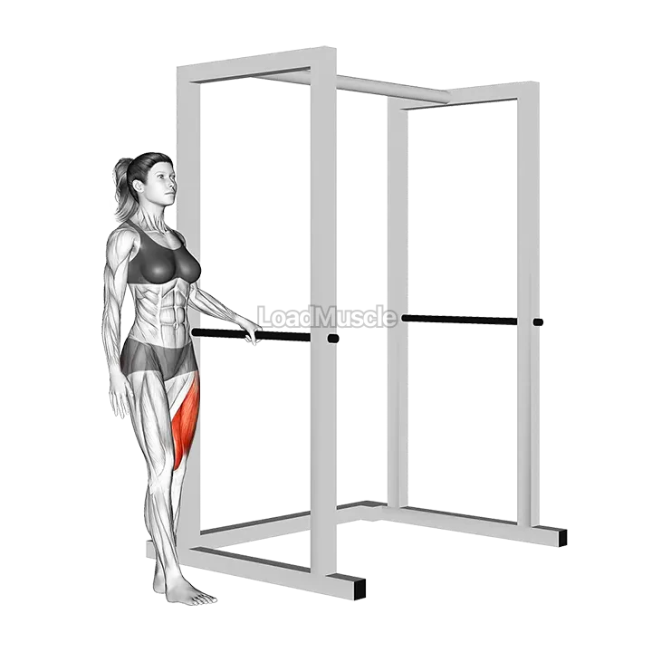 Single Leg Squat with Support demonstration