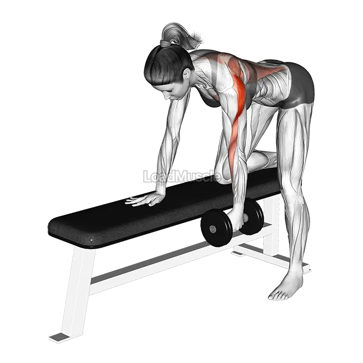 Dumbbell One Arm Bent over Row demonstration